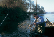 loire